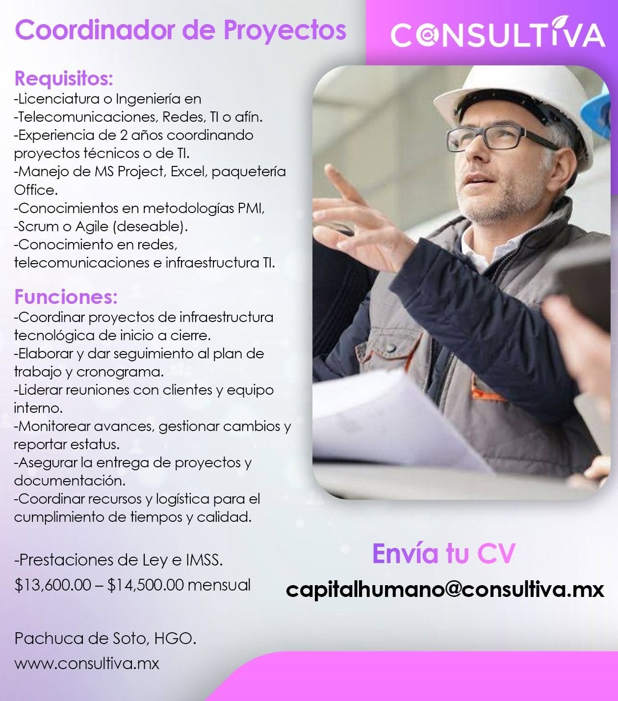 Coordinador de Proyectos